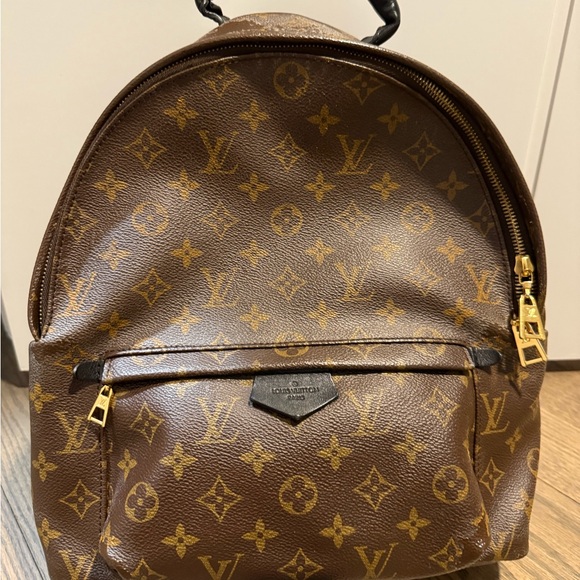 Louis Vuitton Monogram Palm Spring PM Backpack - Picture 1 of 15